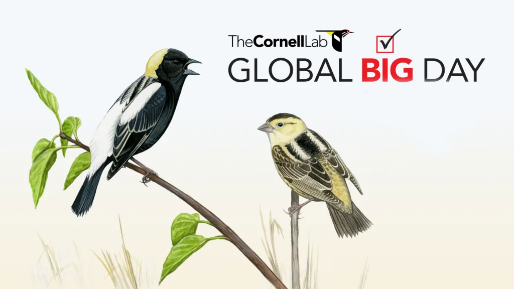 Bogota’da Doğayla İç İçe Sessiz Bir Buluşma Gerçekleşti