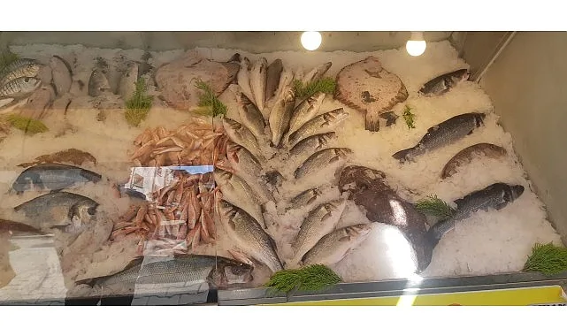 İzmir’de Su Ürünleri Denetimlerinde Ceza Yağdı: Yasa Dışı Avcılığa Geçit Yok