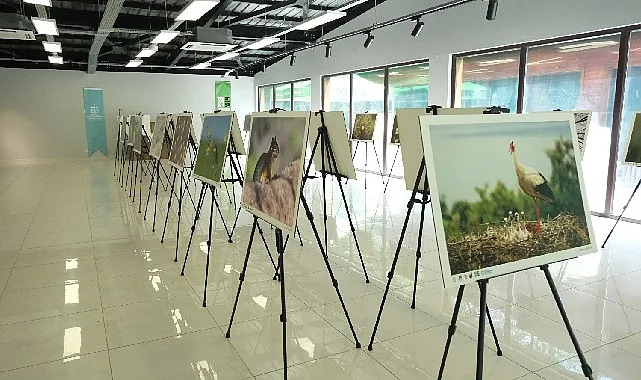 Bu fotoğraf sergisi Ormanya’da görsel şölen sunuyor