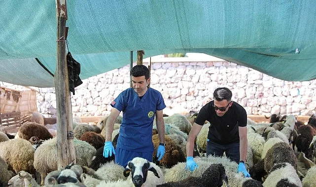 Buca’da Kurban Bayramı öncesi sıkı denetim