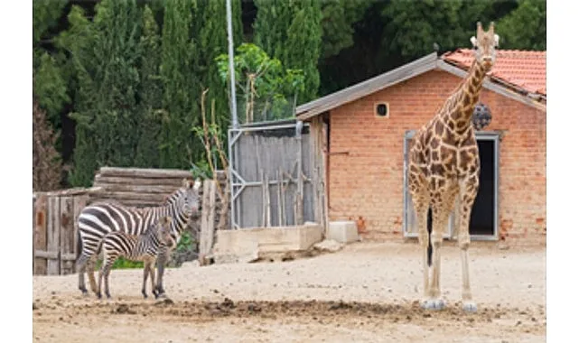 İzmir Doğal Yaşam Parkı bayramda  ziyaretçileri bekliyor