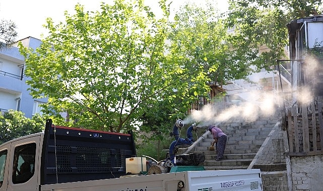 Karabağlar’da Haşerelere Karşı İlaçlama Seferberliği