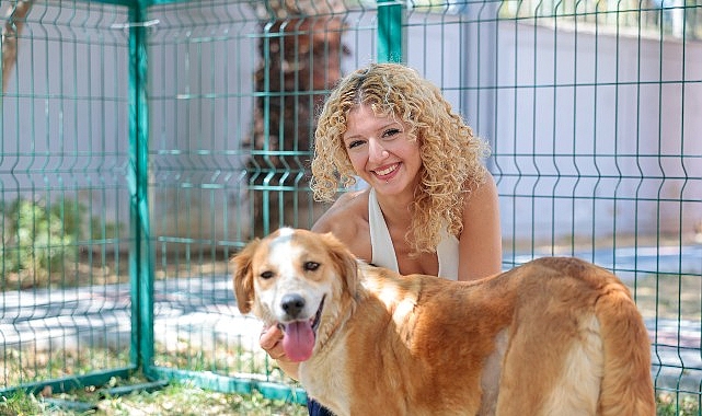 Konak’ın patili dostları ömürlük yuvalarını bekliyor