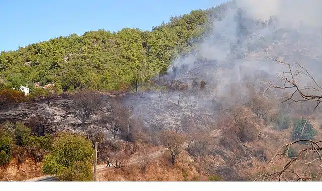 Başkan Vekili Özdemir yangın bölgesinde