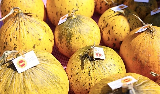 Çeşme, üretim kültürünü kutladı: 10. Ovacık Tarım ve Sakız Koyunu Festivali tamamlandı