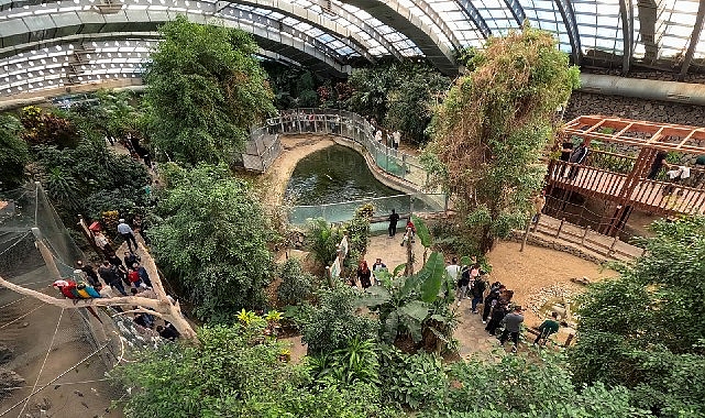 İzmir Doğal Yaşam Parkı’na ziyaretçi akını