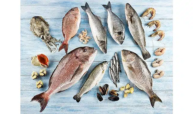 Su ürünleri ve hayvansal mamuller ihracatının yüzde 47’si Ege Bölgesi’nden yapıldı