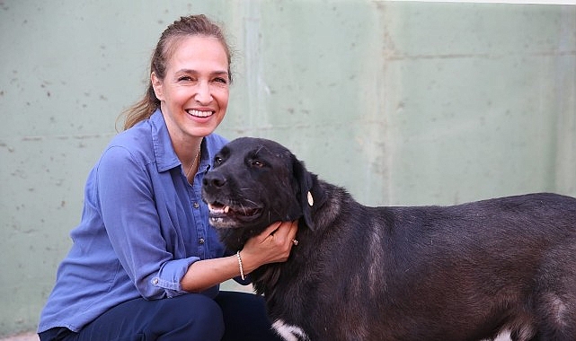 1 yılda 40 bin can dosta şefkat eli uzandı