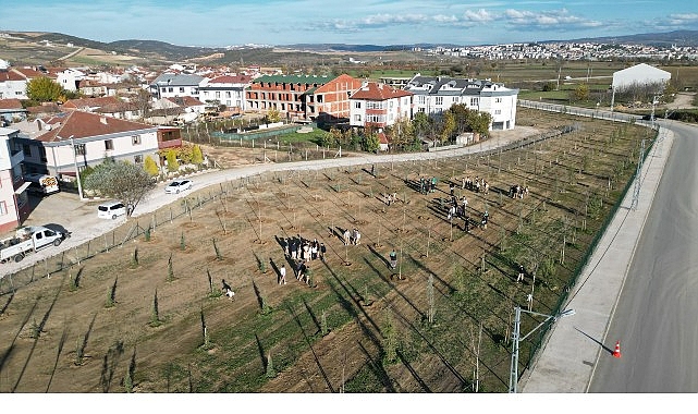 572 Fidanlı Koruluk Akhisar’a Nefes Olacak