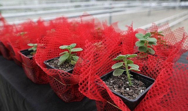 Keçiören’de Bilinçli Tarımsal Üretim İçin Eğitim Verildi